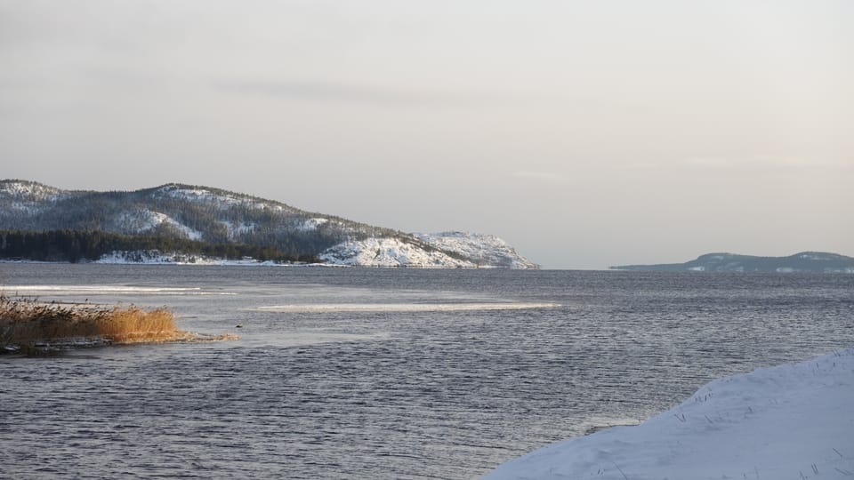 Gott nytt år!